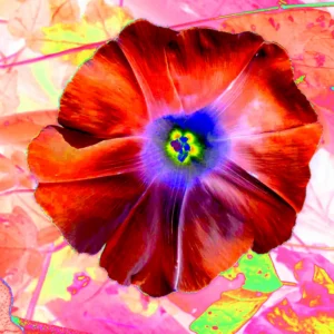 The Path to Your Abundance | Online workshop with Sabine Walter